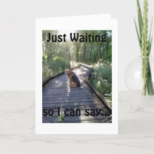 HUNDE AUF EINEM WALKWOLKSWEG WARTET, DASS SIE GLÜC KARTE