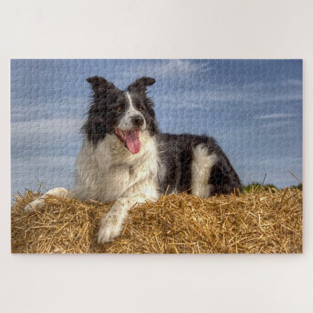 Hunde auf Hay Bale 1014 Piece Jigsaw Puzzle (Horizontal)