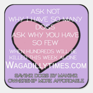 Hunde-Aufkleber gerettet Quadratischer Aufkleber