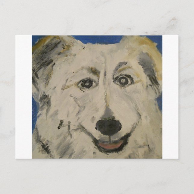Hunde aus Ginsburg Postkarte (Vorderseite)