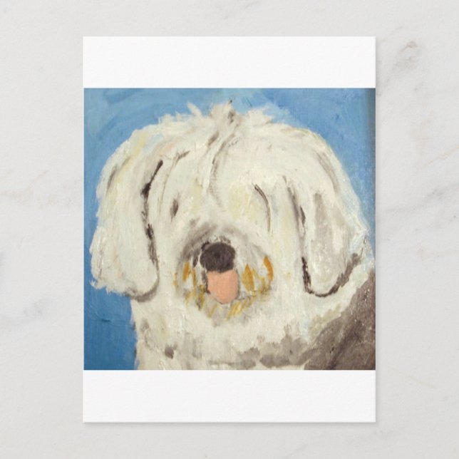 Hunde aus Ginsburg Postkarte (Vorderseite)
