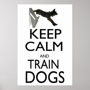 Hunde behalten und trainiert poster