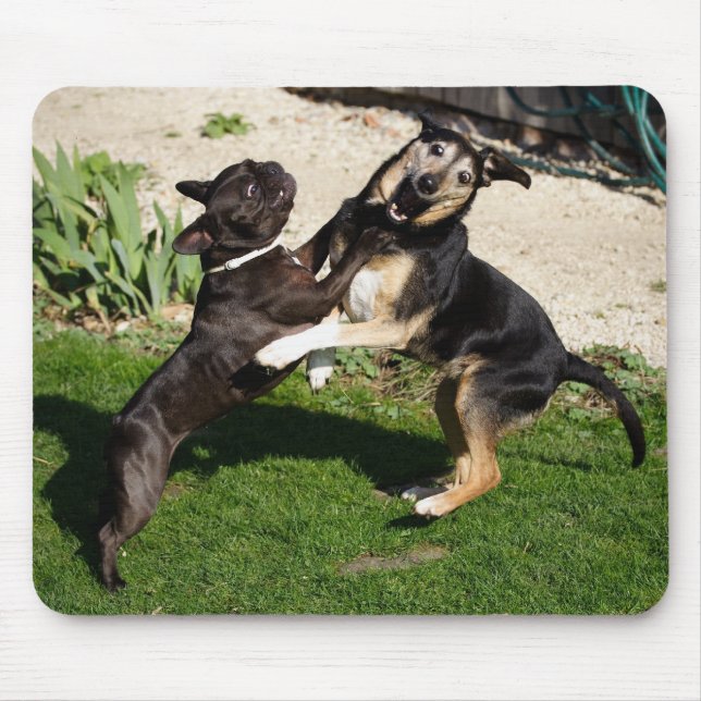 Hunde bekämpfen mousepad (Vorne)