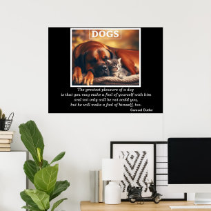 Hunde Bester Freund Kitten Cuddles Poster