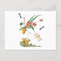 Hunde-Blume und Libellen