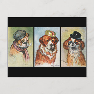 Hunde, Cartoon-Triptychon Postkarte
