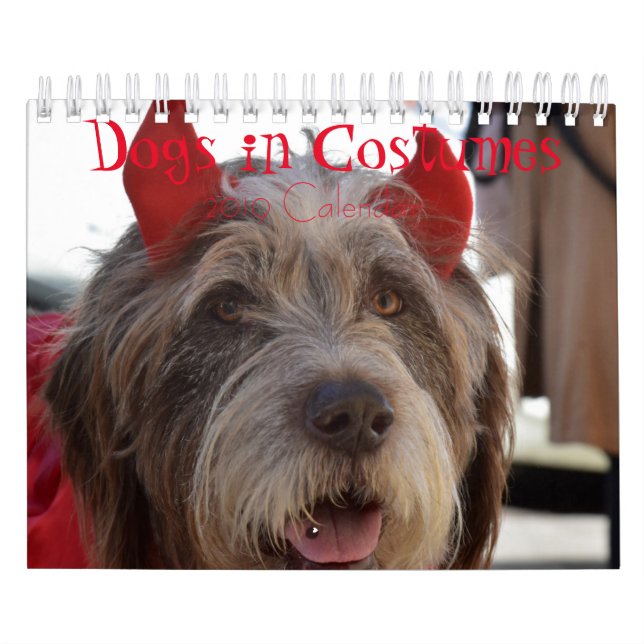 Hunde dem Kalender in der Kostüm-2019 (Titelbild)
