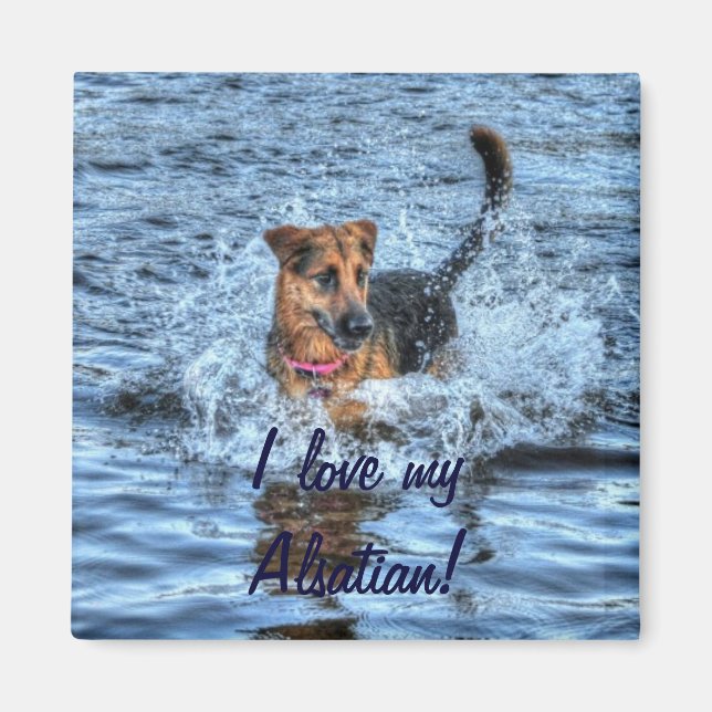 Hunde-Designs für Heimtiere Magnet (Vorne)