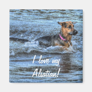 Hunde-Designs für Heimtiere Magnet