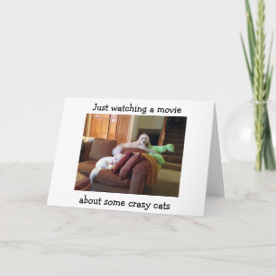 HUNDE, DIE DAS FILM ÜBER KRAZY CATS BIRTHDAY CARD  KARTE