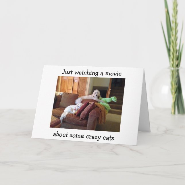 HUNDE, DIE DAS FILM ÜBER KRAZY CATS BIRTHDAY CARD  KARTE (Vorderseite)
