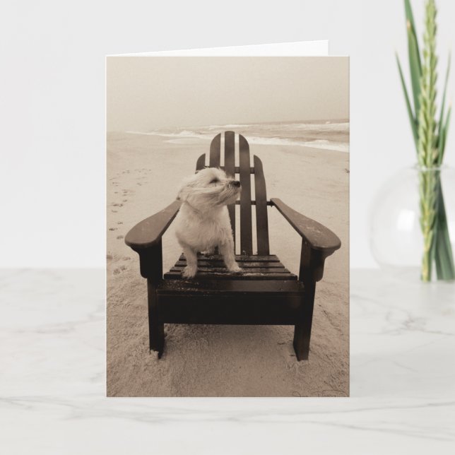 Hunde, die den Strand genießen Karte (Vorderseite)