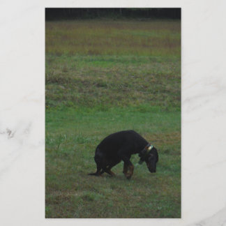 Hunde, die die Jagd aufgeben Briefpapier