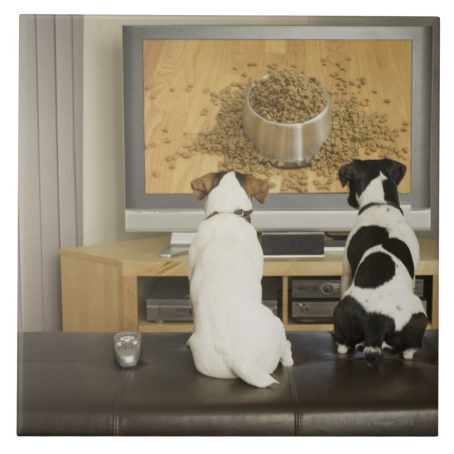 Hunde, die im Fernsehen Hundeteller mit Nahrung Fliese (Vorderseite)