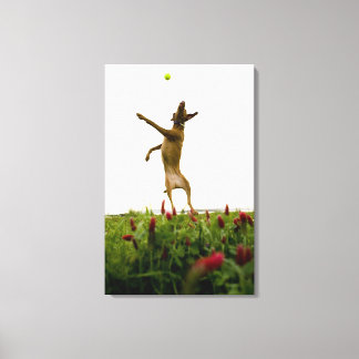 Hunde, die in der Luft Tennisball fangen Leinwanddruck