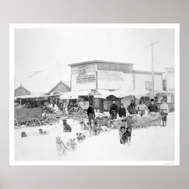Hunde, die Nahrung Alaska transportieren 1924 Poster (Vorne)