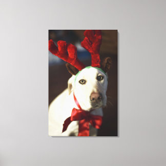 Hunde, die Rentiere tragen Leinwanddruck