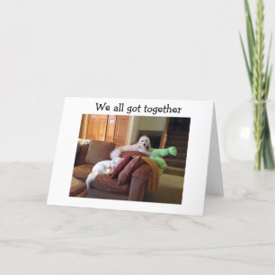 HUNDE, DIE SICH SCHÖNE KATZKATZEN FILM SAGEN GLÜCK KARTE