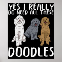 Hunde Doodle Mama gibt Vater Labradoodle Doodle