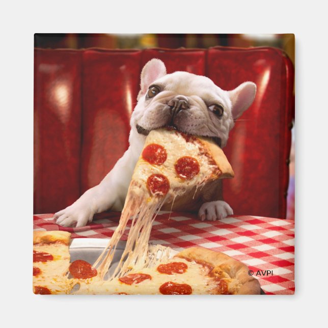 Hunde essen Pizza Slice Magnet (Vorne)