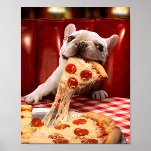 Hunde essen Pizza Slice Poster