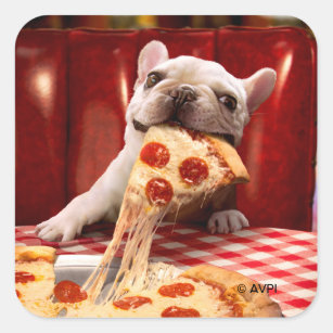 Hunde essen Pizza Slice Quadratischer Aufkleber