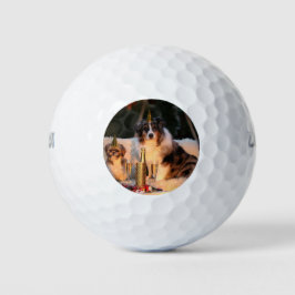 Hunde feiern neues Jahr Golfball