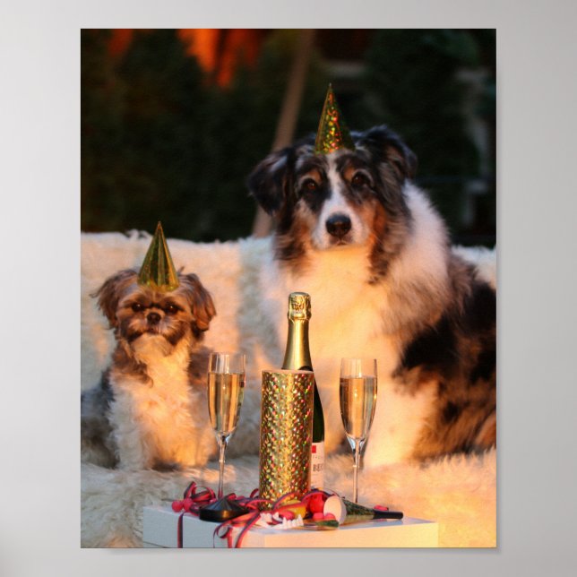 Hunde feiern neues Jahr Poster (Vorne)