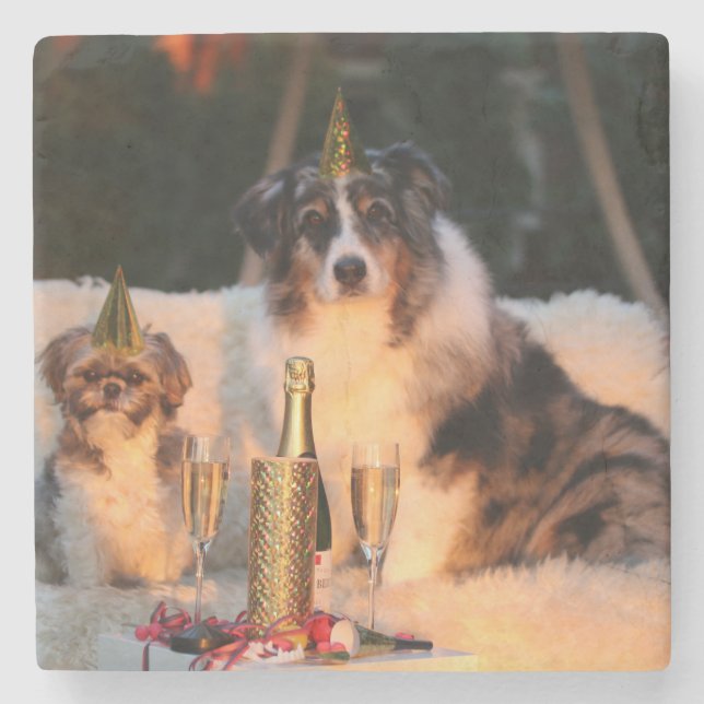 Hunde feiern neues Jahr Steinuntersetzer (Vorderseite)