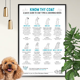 Hunde Felltypen Diagramm - Wandraum für Hundefrise Poster