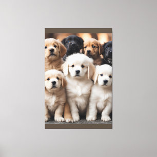 Hunde Foto Art Leinwanddruck
