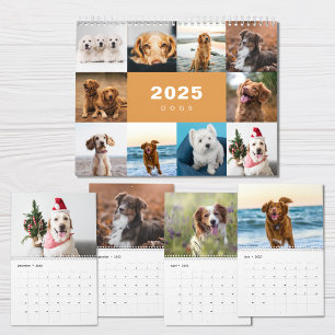 Hunde-Foto-Collage Moderne 2025 Kalender