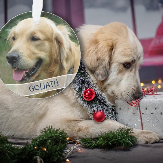 Hunde Foto Custom Acrylic Christmas Ornament (Von Creator hochgeladen)