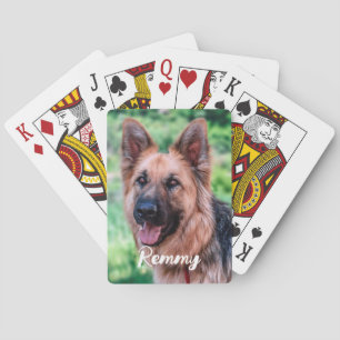 Hunde Foto - Foto für Haustiere - Hunde über Spielkarten