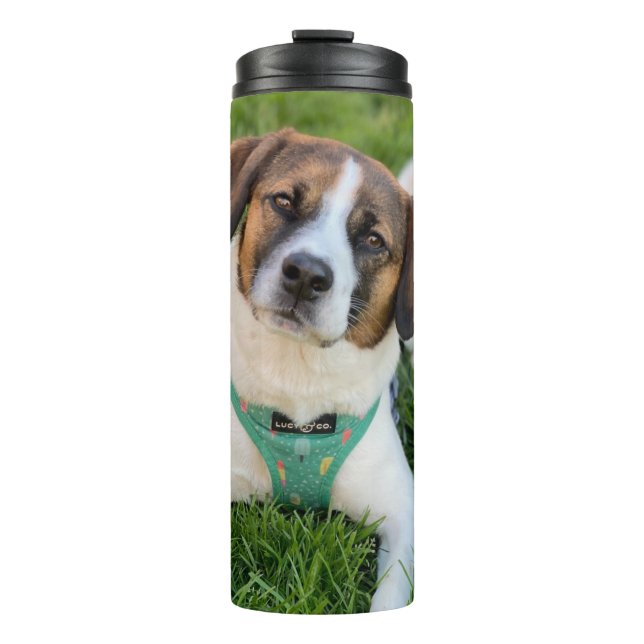 Hunde-Foto Foto hinzufügen Thermosbecher (Vorderseite)
