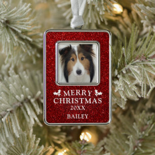 Hunde-Foto-Frohe-Weihnachten-Roter-Glitter-Name Rahmen-Ornament Silber