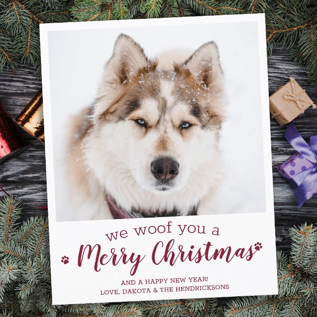Hunde Foto Frohe Weihnachtskarte (Von Creator hochgeladen)
