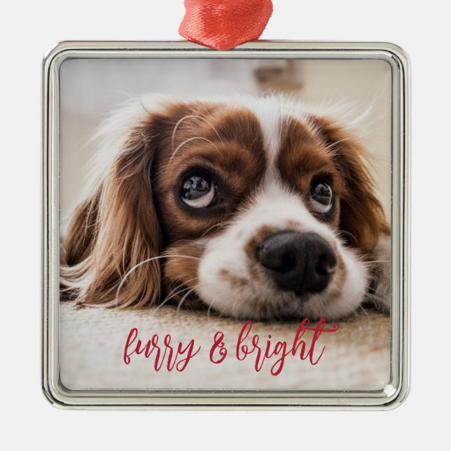 Hunde Foto Furcht und helle Weihnachten Ornament Aus Metall (Vorne)