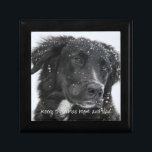 Hunde Foto Geschenk für Mama und Vater vom Hund Erinnerungskiste<br><div class="desc">Eine Weihnachtsweihnachtsweihnachtsweih von Ihrem Hund,  mit Ihrem geliebten Haustier oder Haustier Foto. Ersetzen Sie dieses Beispiel-Foto durch ein Foto Ihres Hundes.</div>