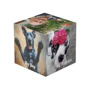 Hunde-Foto-Geschenk-Kunst für Ihr Büro Würfel
