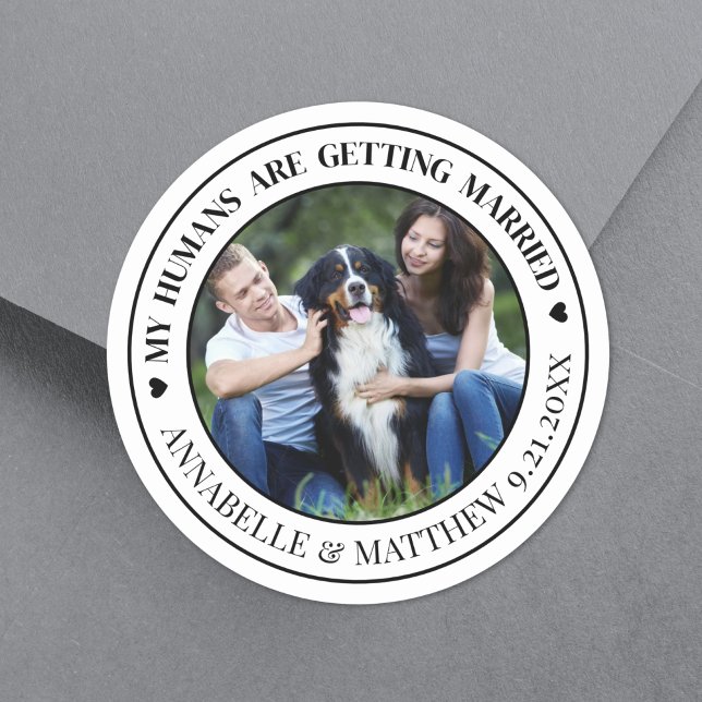 Hunde Foto Hochzeit speichern das Datum Runder Aufkleber (Dog Photo Pet Wedding Save The Date Classic Round Sticker)