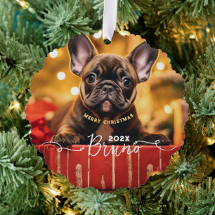 Hunde Foto Individuelle Name und Text Ornament Karte