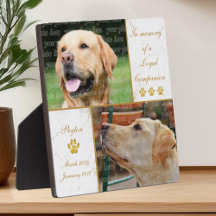 Hunde Foto Loyal Companion Pet Keepake Memorial