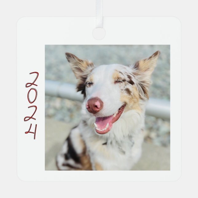 Hunde Foto Metal Square Ornament (Vorderseite)