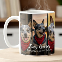 Hunde-Foto-Name 6 Foto