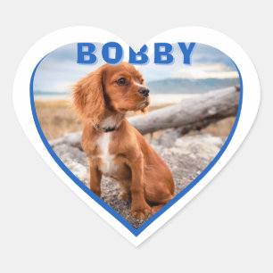 Hunde Foto Name Blue Heart Dog Herz-Aufkleber