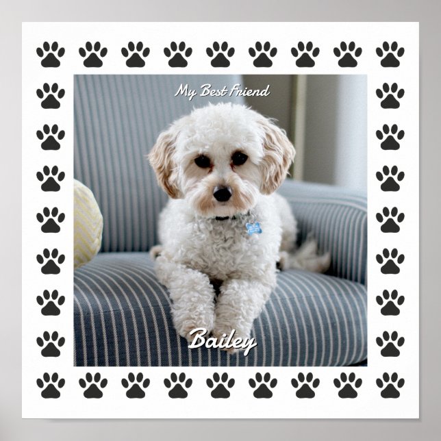 Hunde Foto, Name, Mein bester Freund, Paw Prints Poster (Vorne)