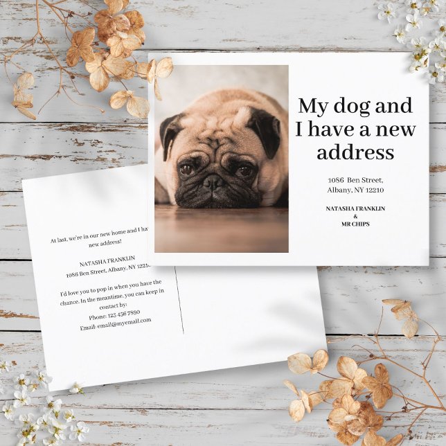 Hunde Foto Neue Adresse Moderne Moderne Ankündigungspostkarte (Dog Pet Photo New Address I've Moved Modern Announcement Postcard)