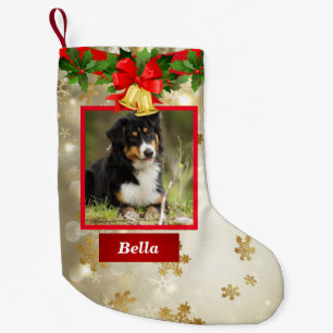 Hunde Foto Niedlich Weihnachten Strumpf Individuel Kleiner Weihnachtsstrumpf