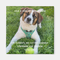 Hunde Foto Save the Date Verlobung Karte